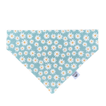 Load image into Gallery viewer, Hello Miss Daisy Over-the-Collar Bandana