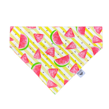 Load image into Gallery viewer, Juicy Watermelons Over-the-Collar Bandana

