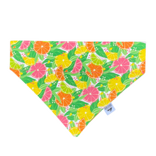 Load image into Gallery viewer, Citrus Burst Over-the-Collar Bandana