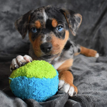 Load image into Gallery viewer, Duraplush FuzzBall Dog Toy - Small 5"