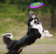 Load image into Gallery viewer, Duraplush Unstuffed Soft Flyer Dog Toy