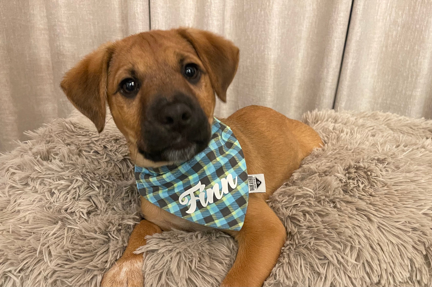 Day At The Office Gingham Over-the-Collar Bandana