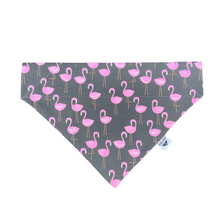 Load image into Gallery viewer, Flamingo Mingle Over-the-Collar Bandana