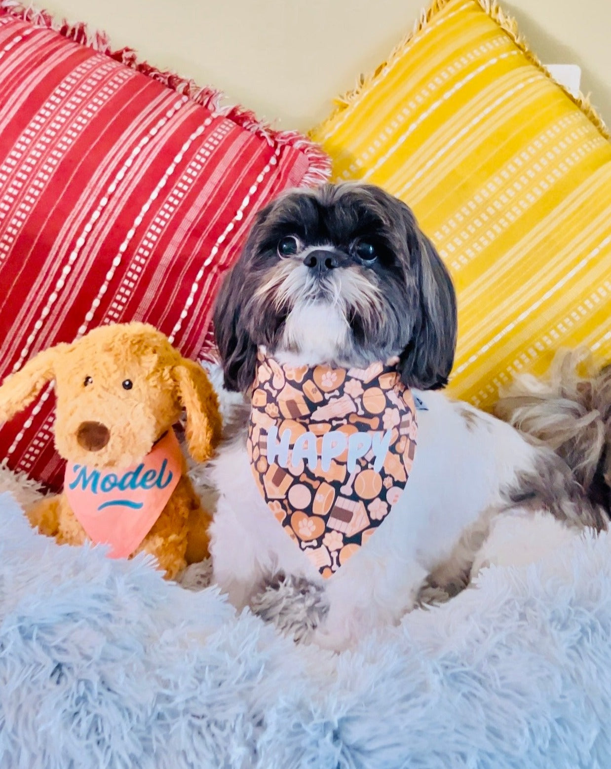 Treats Are Life Over-the-Collar Bandana