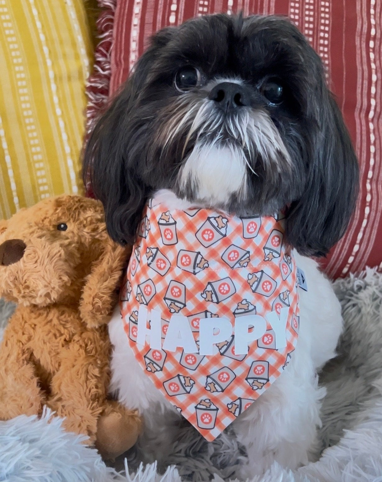 Pup Cup Treat Please! Over-the-Collar Bandana