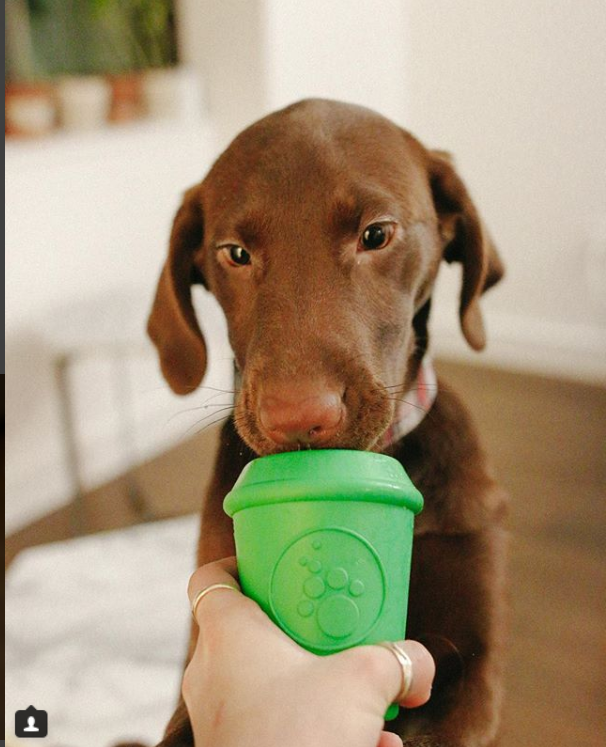 Coffee Cup Durable Rubber Chew Toy and Treat Dispenser - Green