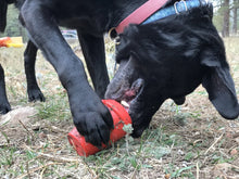 Load image into Gallery viewer, Coffee Cup Durable Rubber Chew Toy & Treat Dispenser - Pink