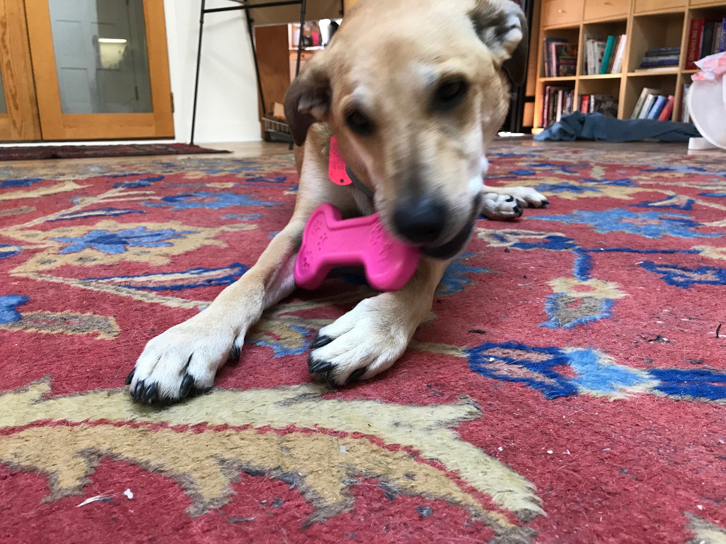 Bone Ultra Durable Nylon Dog Chew Toy for Aggressive Chewers - Pink