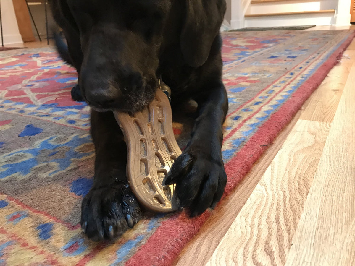 Peanut Ultra Durable Nylon Dog Chew Toy for Aggressive Chewers