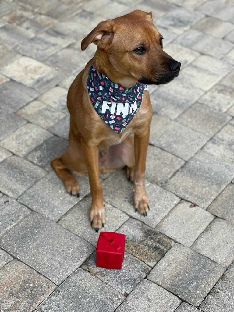 Official Gift Sniffer Over-the-Collar Bandana
