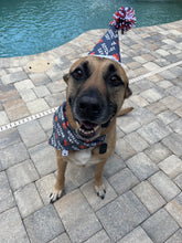 Load image into Gallery viewer, Gotcha Day Over-the-Collar Bandana