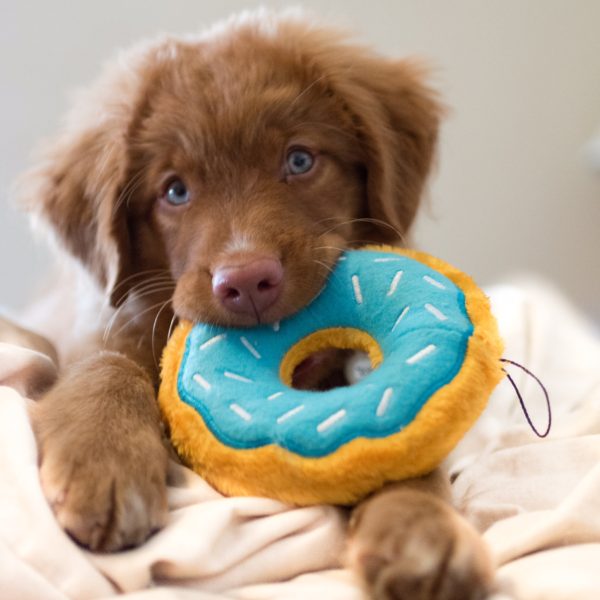 Donut Plush- Blueberry
