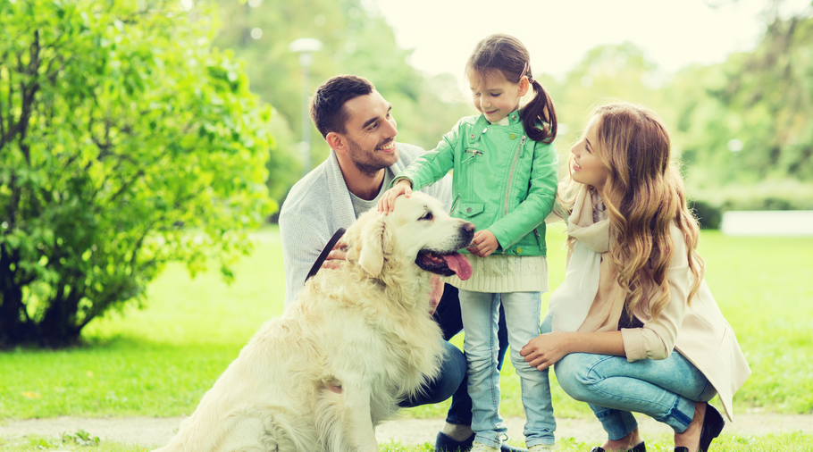 The Role Of  A Dog In A Family