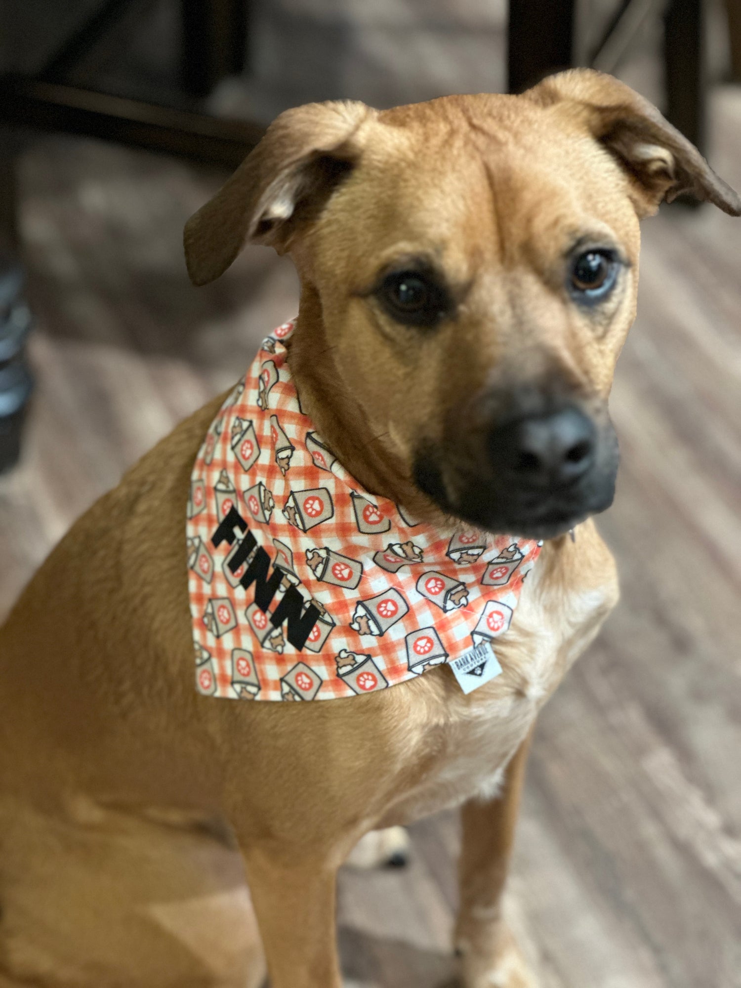 Seasonal Bandanas