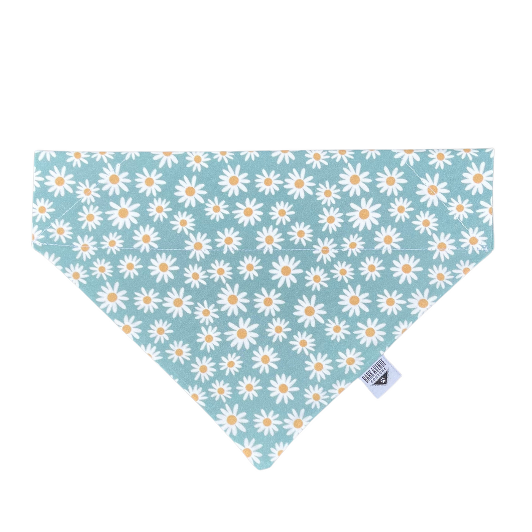 Hello Miss Daisy Over-the-Collar Bandana