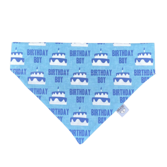 Birthday Boy Over-the-Collar Bandana