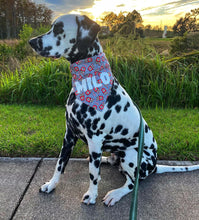 Load image into Gallery viewer, Peppermint Pup Cups Over-the-Collar Bandana
