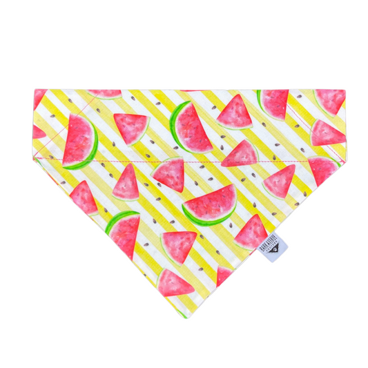 Juicy Watermelons Over-the-Collar Bandana