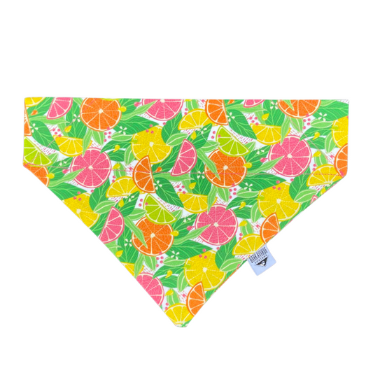Citrus Burst Over-the-Collar Bandana