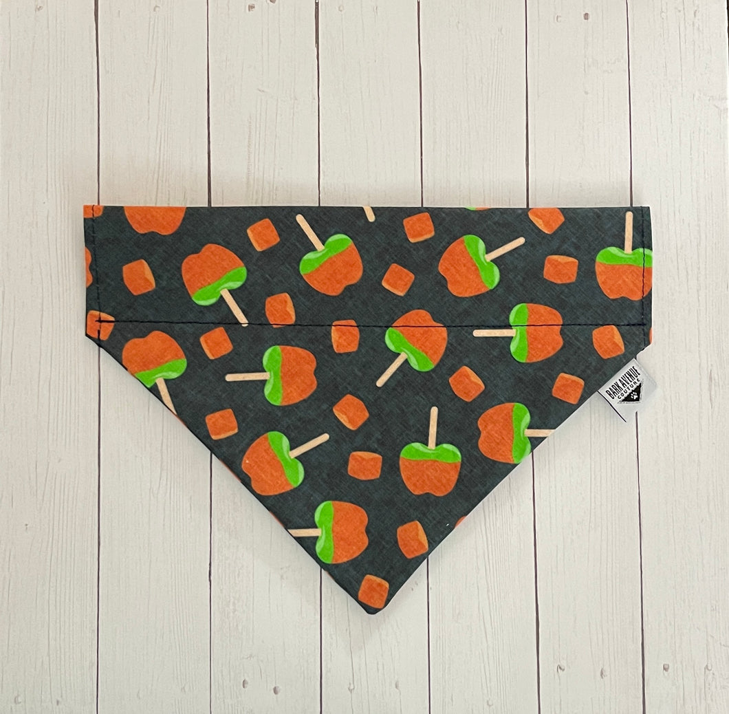 Autumn Apple Treats Over-the-Collar Bandana