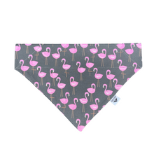 Load image into Gallery viewer, Flamingo Mingle Over-the-Collar Bandana
