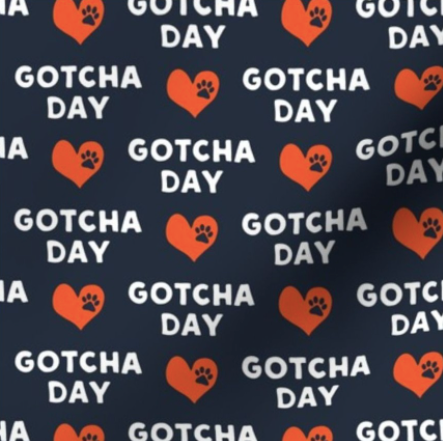 Gotcha Day Over-the-Collar Bandana