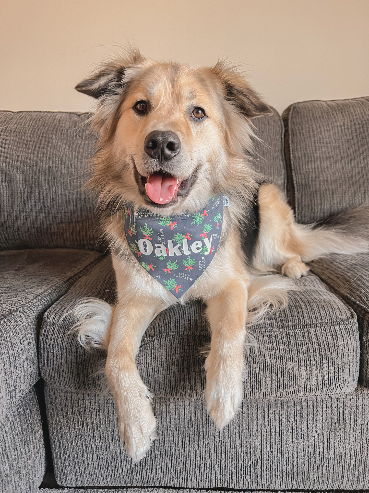 Mistletoe Kisses Over-the-Collar Bandana