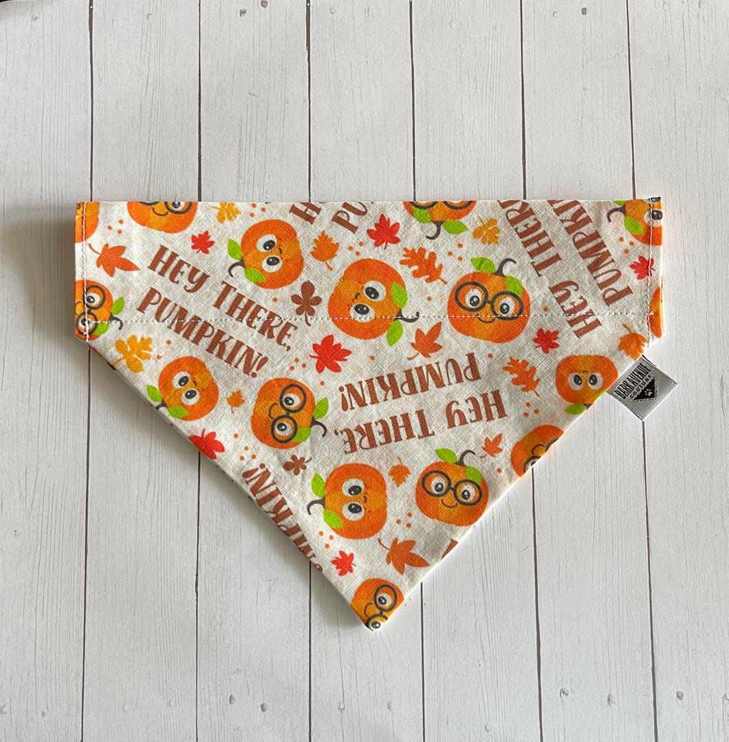 Happy Pumpkins Over-the-Collar Bandana