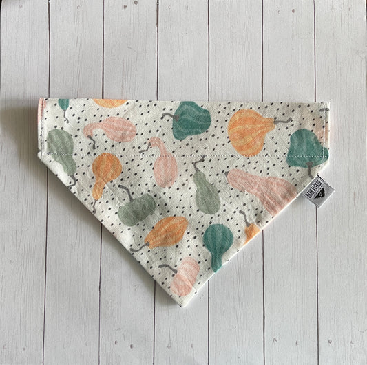 Oh My Gourds Over-the-Collar Bandana