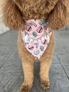 Sugar Cookie Treats Over-the-Collar Bandana
