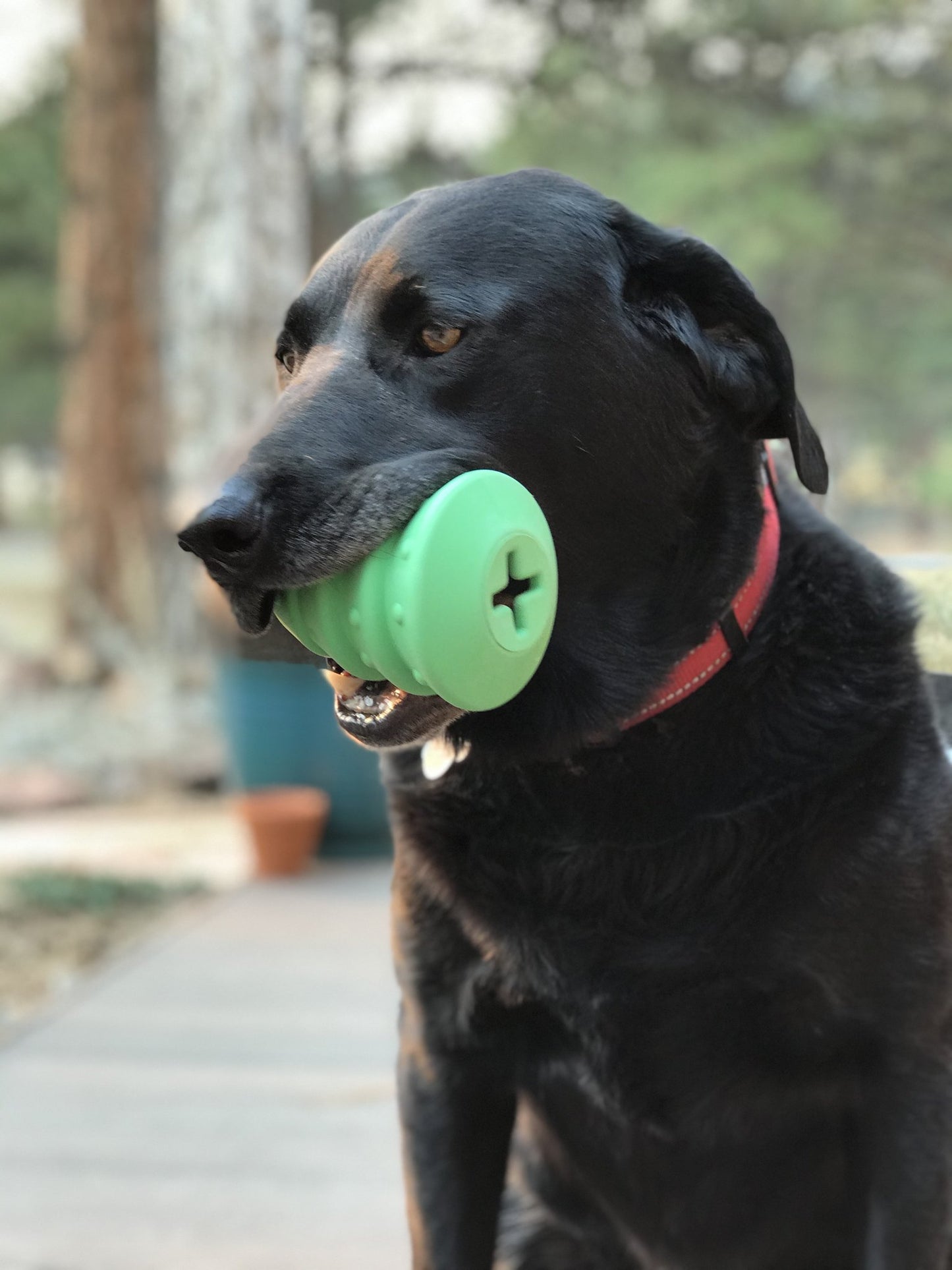 CHRISTMAS TREE DURABLE RUBBER CHEW TOY & TREAT DISPENSER - GREEN