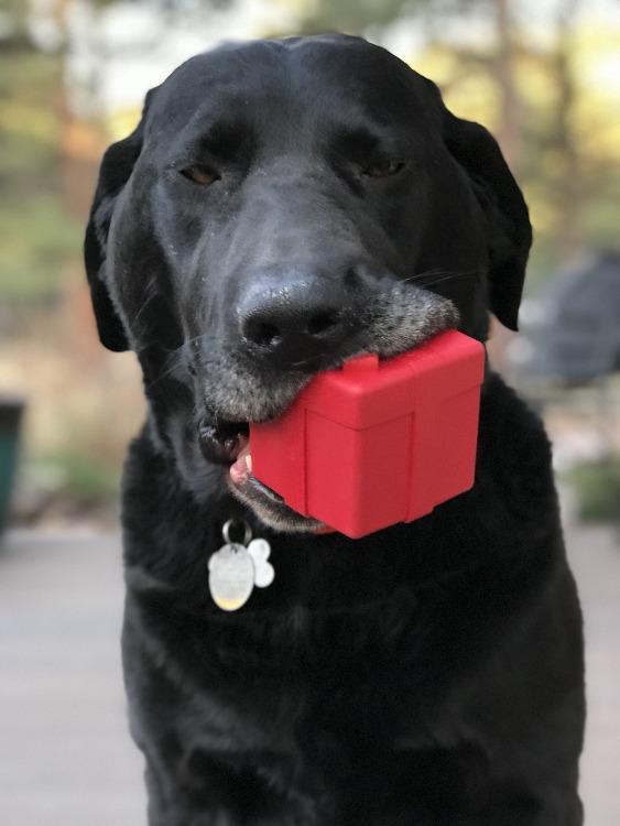 Gift Box Durable Rubber Chew Toy & Treat Dispenser - Red