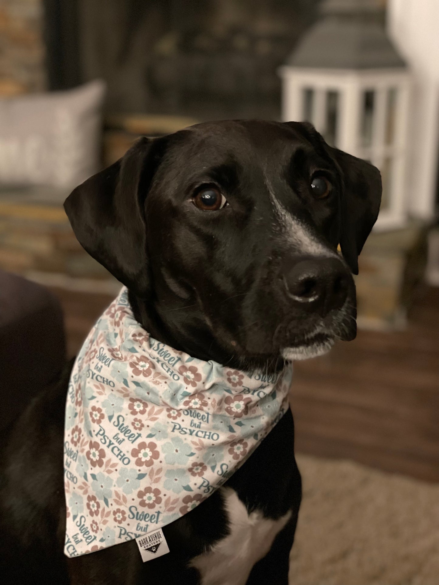 Sweet But Psycho Over-the-Collar Bandana