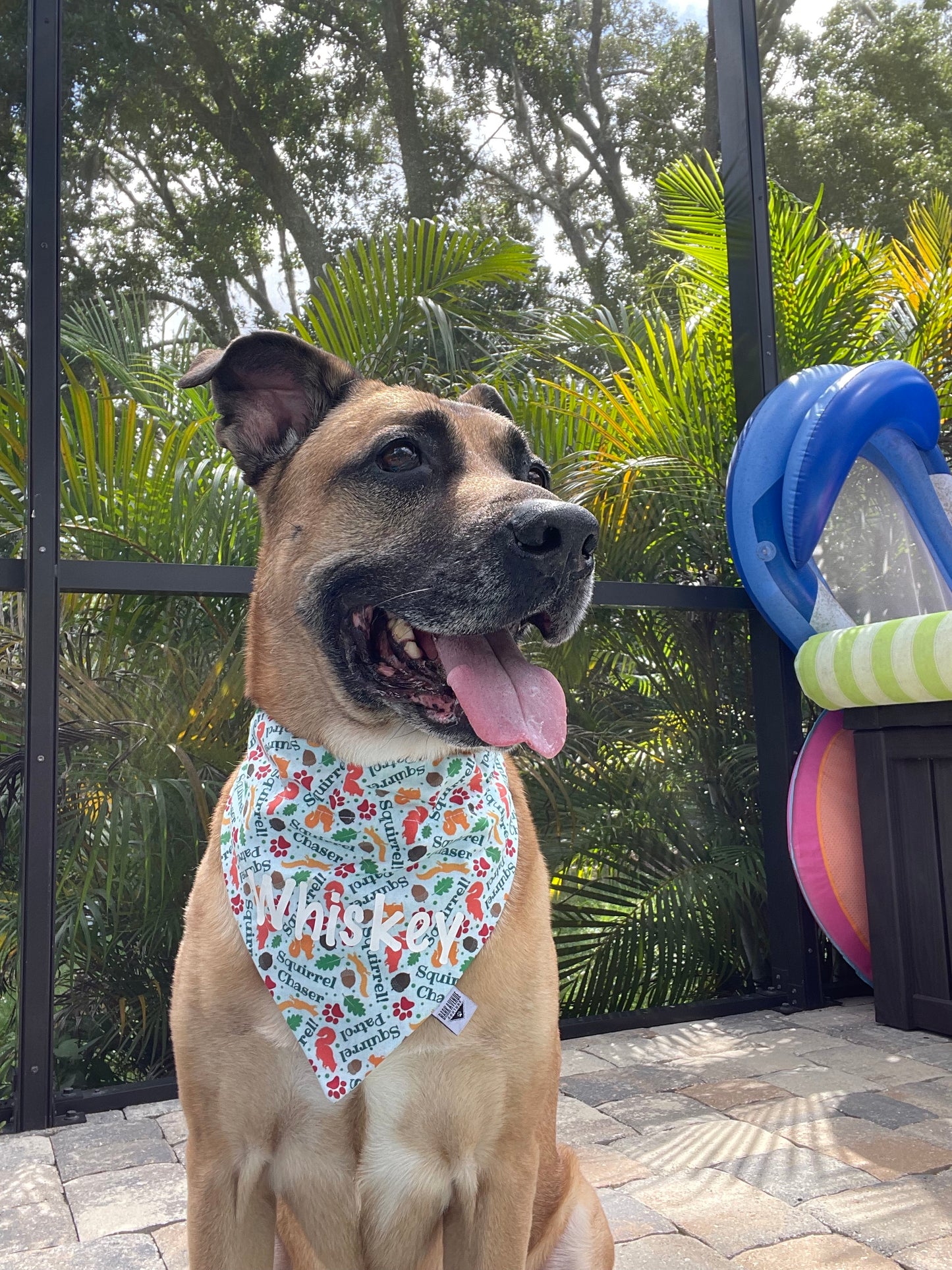 Chasing Squirrels Over-the-Collar Bandana