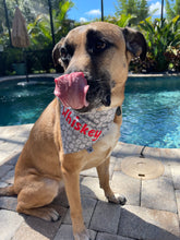 Load image into Gallery viewer, Pawsitively Gray Over-the-Collar Bandana
