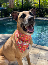 Load image into Gallery viewer, Taco Palooza Over-the-Collar Bandana
