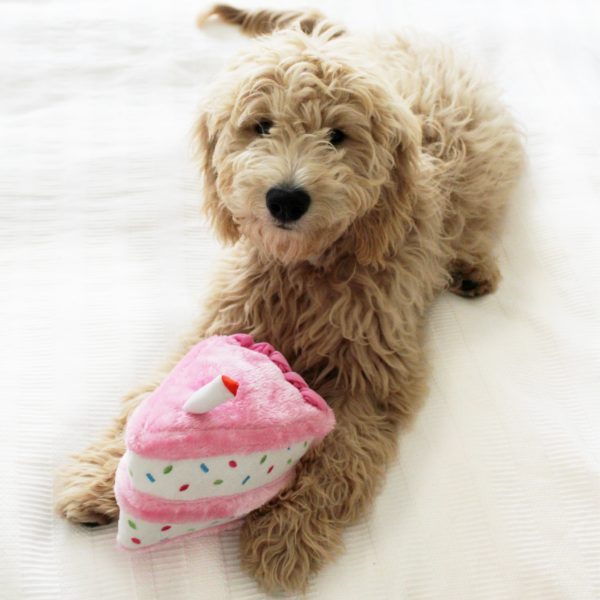Birthday Cake Plush- Pink
