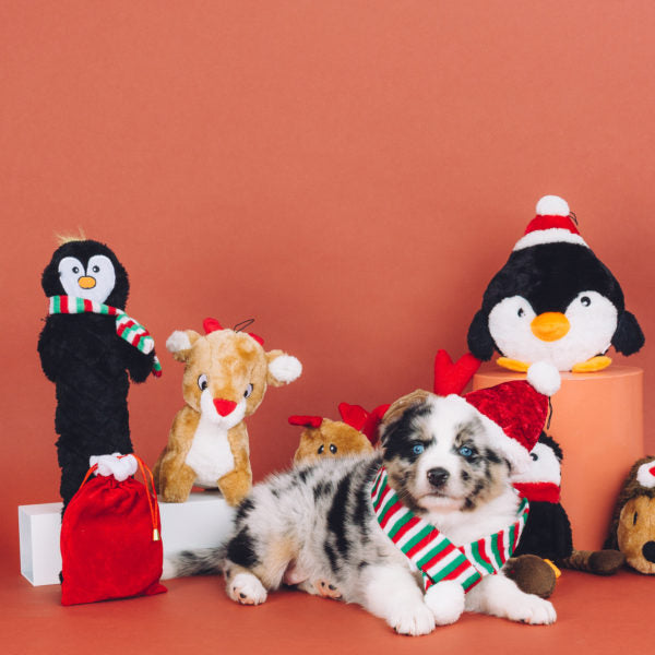 Holiday- Penguin